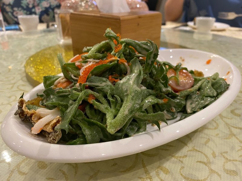 Mesembryanthemum crystallinum