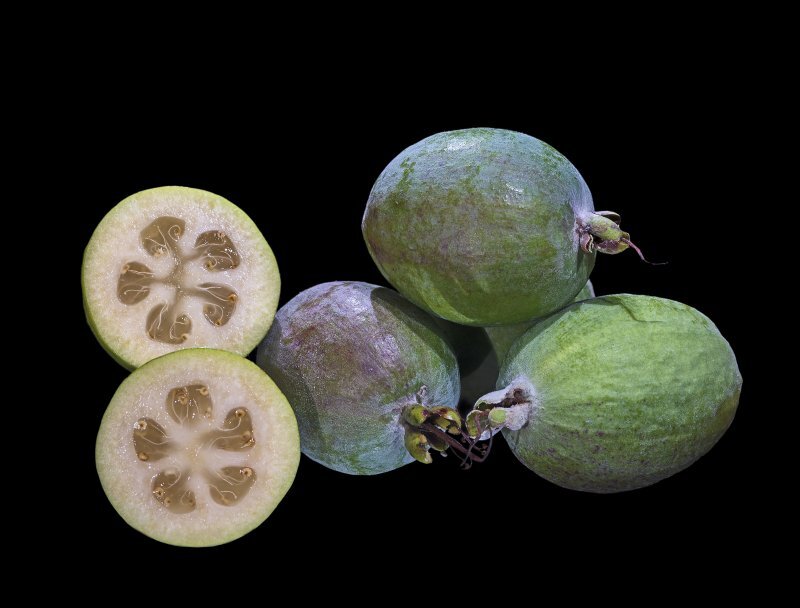Feijoa sellowiana